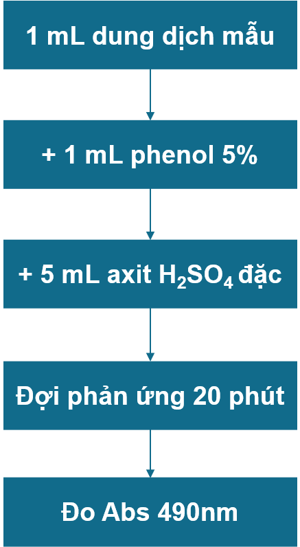 Quy trình xác định đường tổng bằng phương pháp Phenol-axit Sulfuric