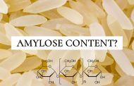Xác định hàm lượng amylose trong gạo (AACC 61-03)
