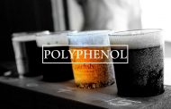 Định lượng polyphenol tổng số trong bia TCVN 12321:2018