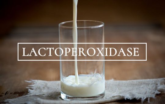Xác định hoạt độ enzyme lactoperoxidase của sữa TCVN 11680:2011