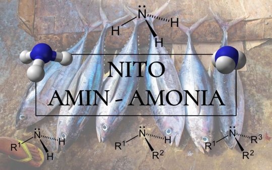 Phương pháp xác định hàm lượng Nitơ Amin-Amoniac TCVN 3707-90