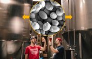 Thu hồi và tồn trữ nấm men trong sản xuất bia